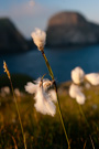 Fair Isle